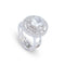 Celestia Halo Ring - Anoree